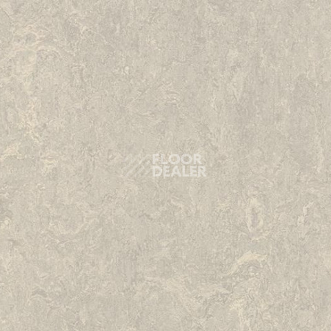 Кварцвиниловые полы Forbo Marmoleum Modular t3136 concrete фото 1 | FLOORDEALER